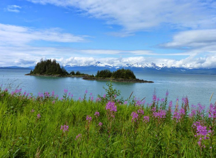 Point Bridget State Park, Alaska, USA